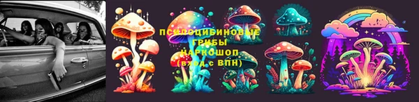 тгк Абаза