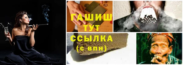 тгк Абаза