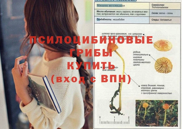 скорость Абинск