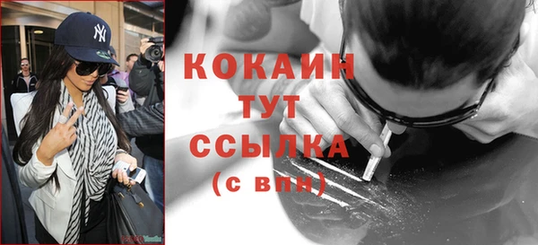 тгк Абаза
