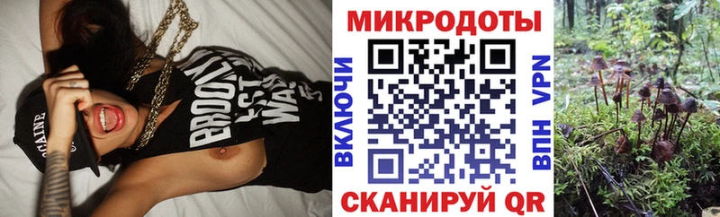 Псилоцибиновые грибы ЛСД  Западная Двина 